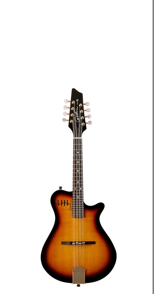 Godin A8 Mandolin フラットマンドリン - 弦楽器